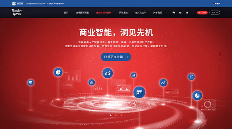 上海网站开发