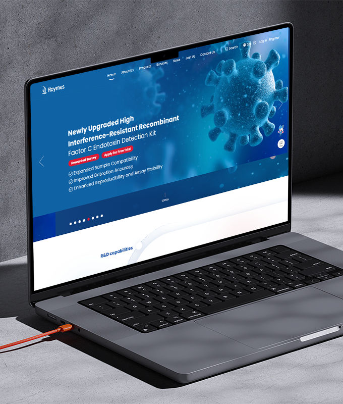 海外企业网站制作